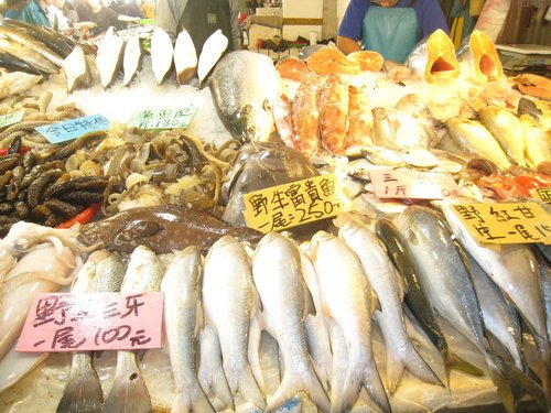 嘉義布袋魚市64.jpg