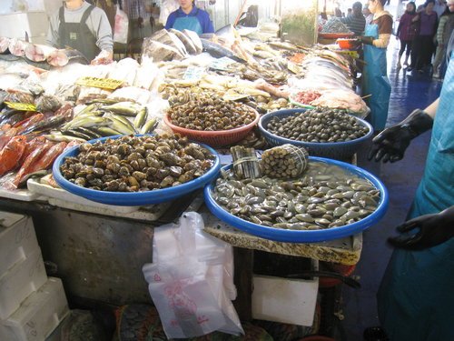 嘉義布袋魚市67.jpg