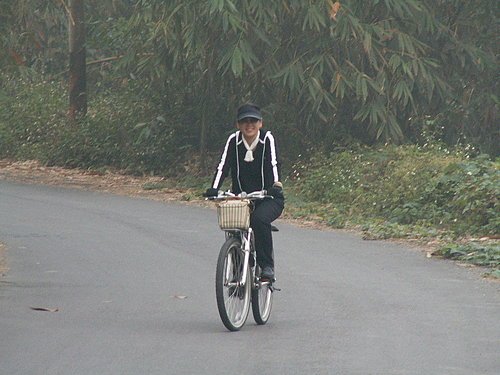 路上遇到了新夥伴 春聯姐.jpg