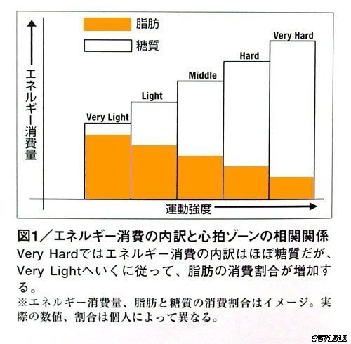 脂肪與醣燃燒比例圖.jpg