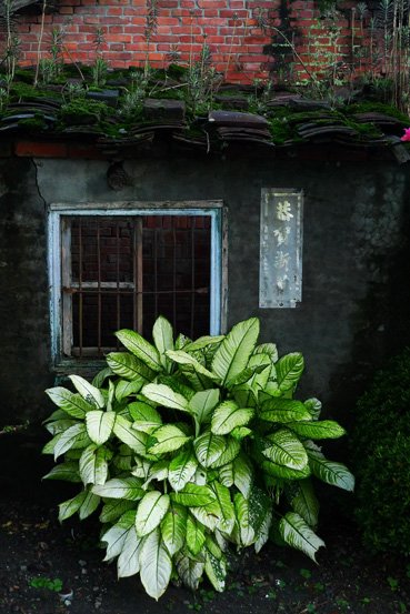 P1090455