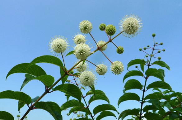 P1100494