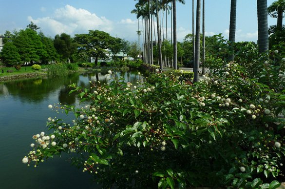 P1100496
