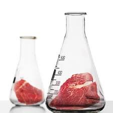 In Vitro Meat