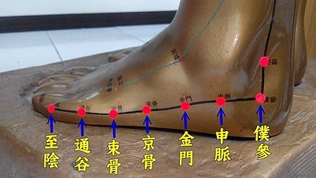 太陽膀胱經11.jpg