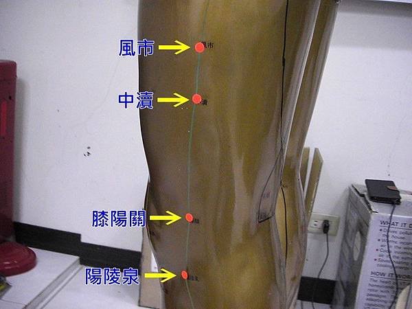 足少陽膽經8