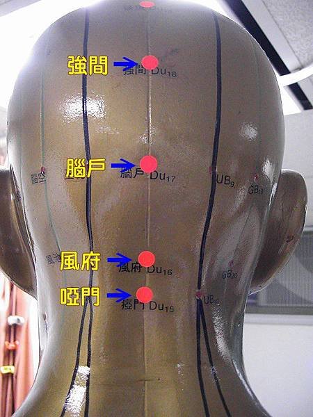 督脈4