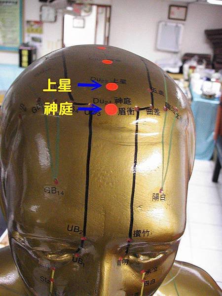 督脈7