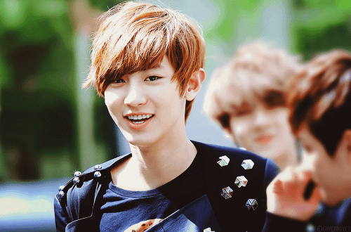 piyanan48_files_wordpress_com_2012_11_chanyeol-chanbaek-exo-couple-31543557-500-330