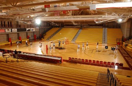 Hamilton---vball-lg.jpg