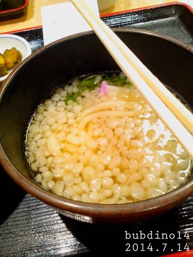 烏龍麵麩