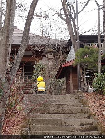 DSC01194