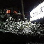 DSC01266