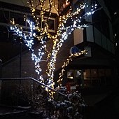 DSC01282