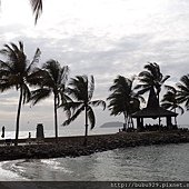 DSC06384