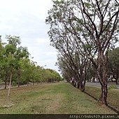 DSC06437