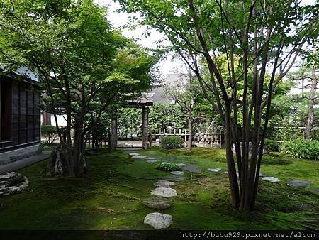 DSC04515