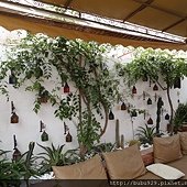 DSC07492.JPG