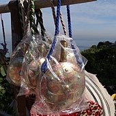 DSC09517.JPG