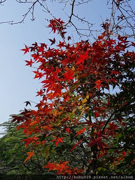DSC00156.JPG