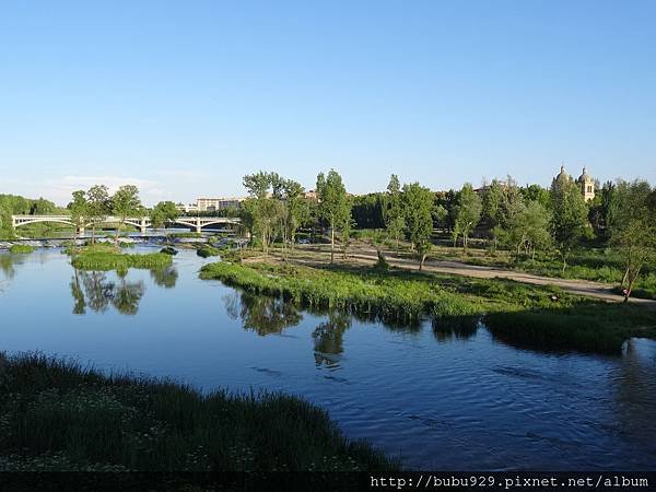 DSC03209.JPG
