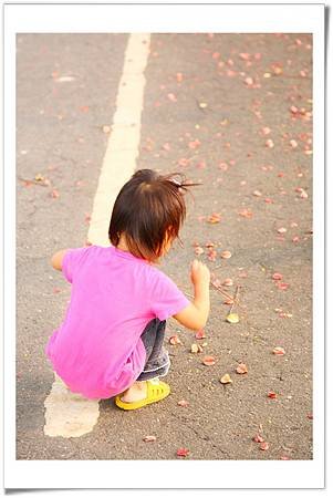 IMG_79245_resize.JPG