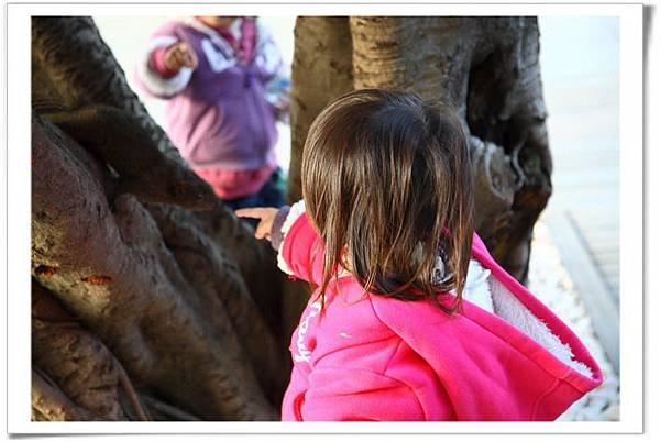 IMG_7220_resize.JPG