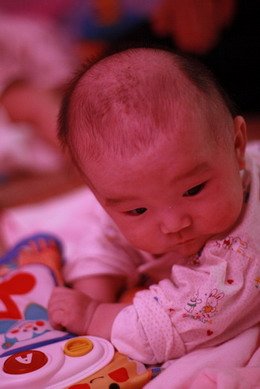 IMG_1824_大小 _大小 .JPG