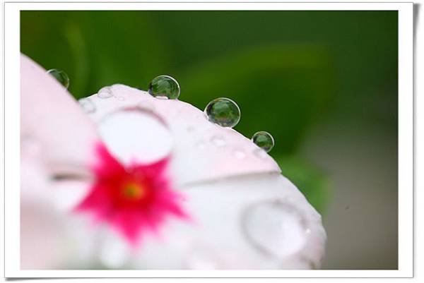 IMG_1134_resize.JPG