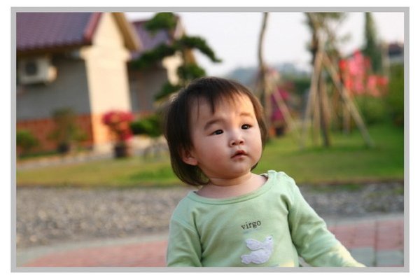 IMG_3331_resize.JPG