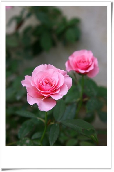 IMG_5082n_調整大小.jpg