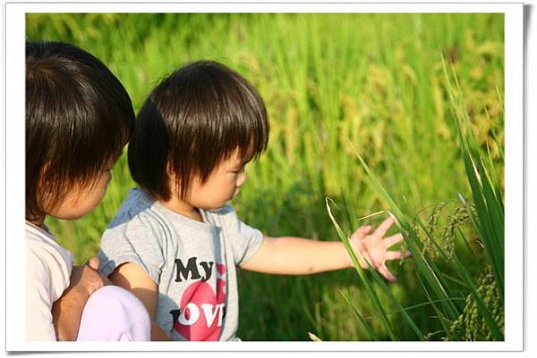 IMG_1817_resize.JPG