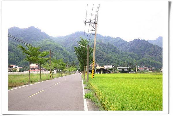 IMG_1961_resize.JPG