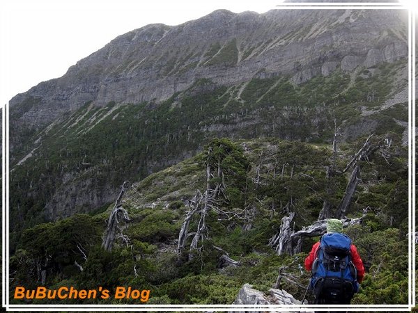 PhotoCap_PhotoCap_PhotoCap_照片 399.jpg