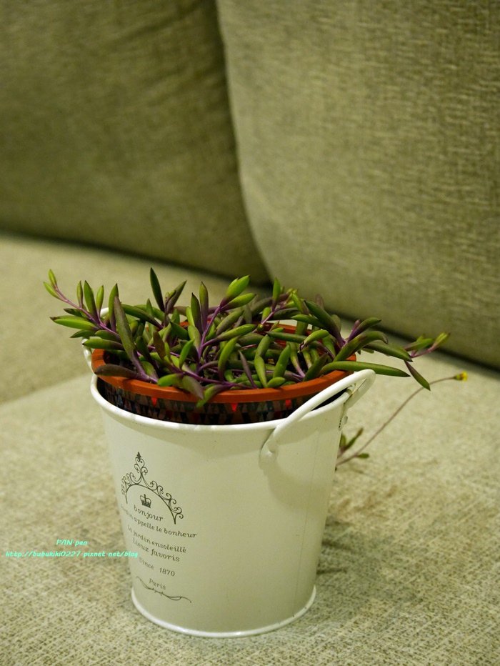 P1010481.JPG