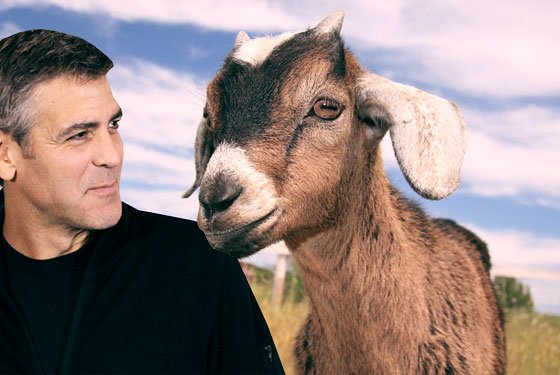 Clooney-Men-who-stare-at-goats.jpg