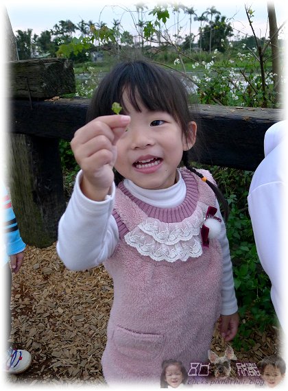 P1000930P04.jpg