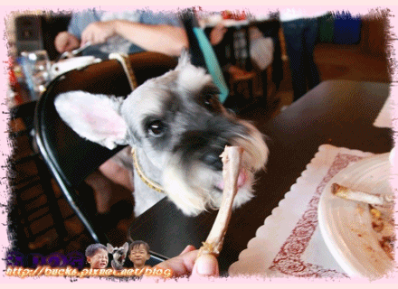 b2.gif