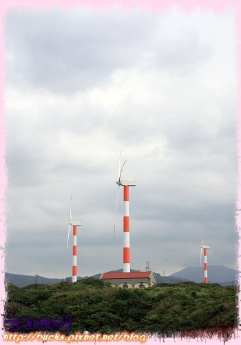 IMG_9579.jpg