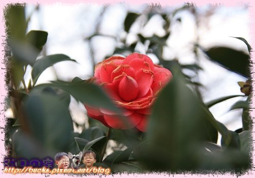 IMG_3651.jpg