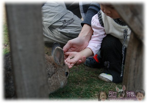 IMG_0193P05.jpg