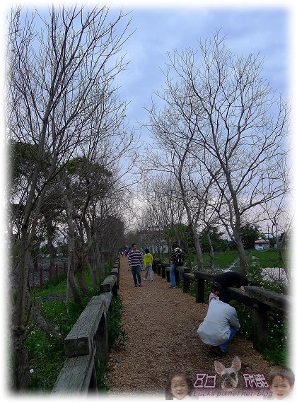 P1000927P06.jpg