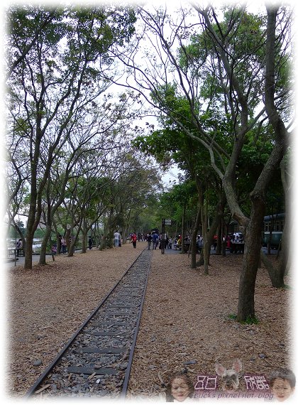 P1000918P08.jpg