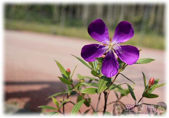 IMG_9351P08.jpg