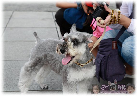 IMG_8225P03.jpg