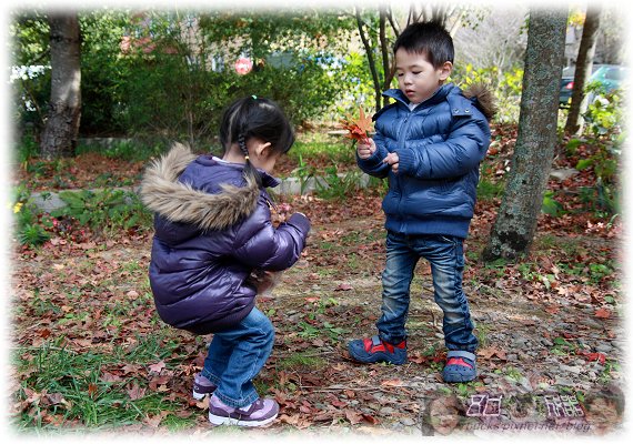 IMG_0565P11.jpg