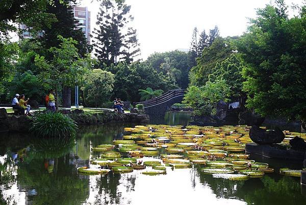 雙溪大王蓮、國父紀念館夜拍 291