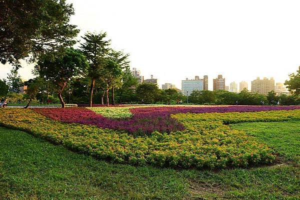 古亭河濱公園地景花海、夜拍 171