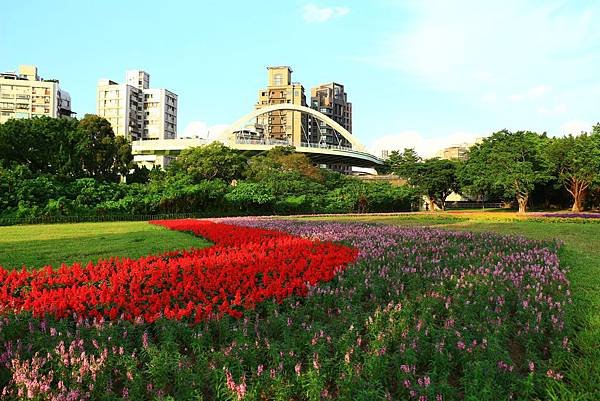 古亭河濱公園地景花海、夜拍 105