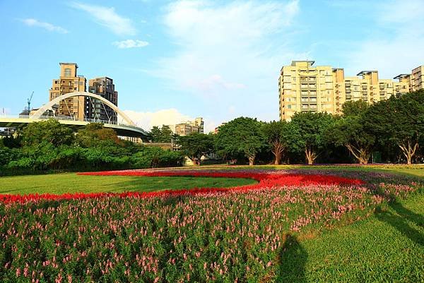 古亭河濱公園地景花海、夜拍 111